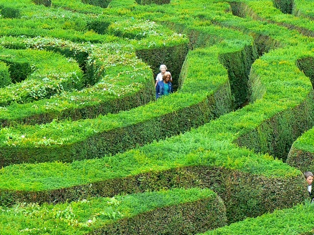 The maze, Longleat safari park near to Horningsham, Wiltshire, Great Britain Photo of "The maze, Longleat safari park near to Horningsham, Wiltshire, Great Britain" © Copyright Brian Robert Marshall and licensed for reuse under Creative Commons License 3.0.