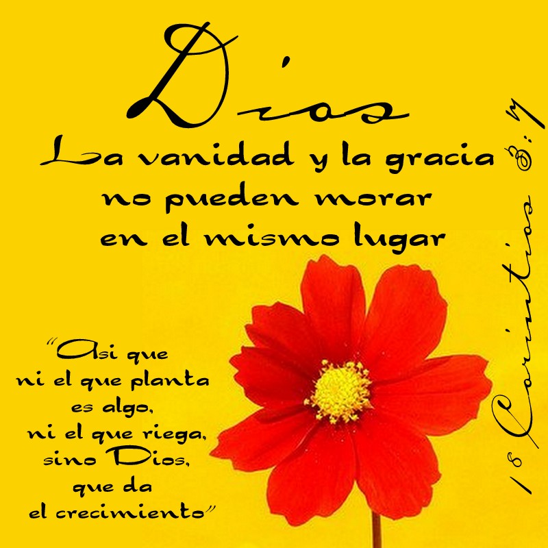 YO SOY EL BUEN PASTOR: 1° Corintios 3:7