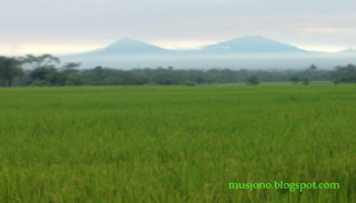 MERAPI MERBABU