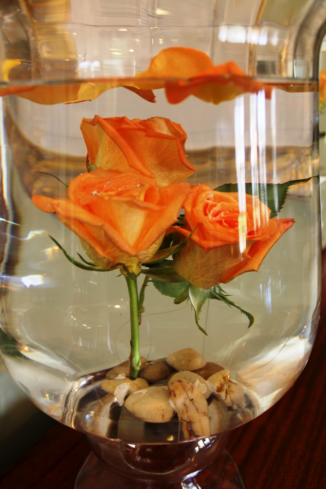 Submerging Flowers Miss Kopy Kat