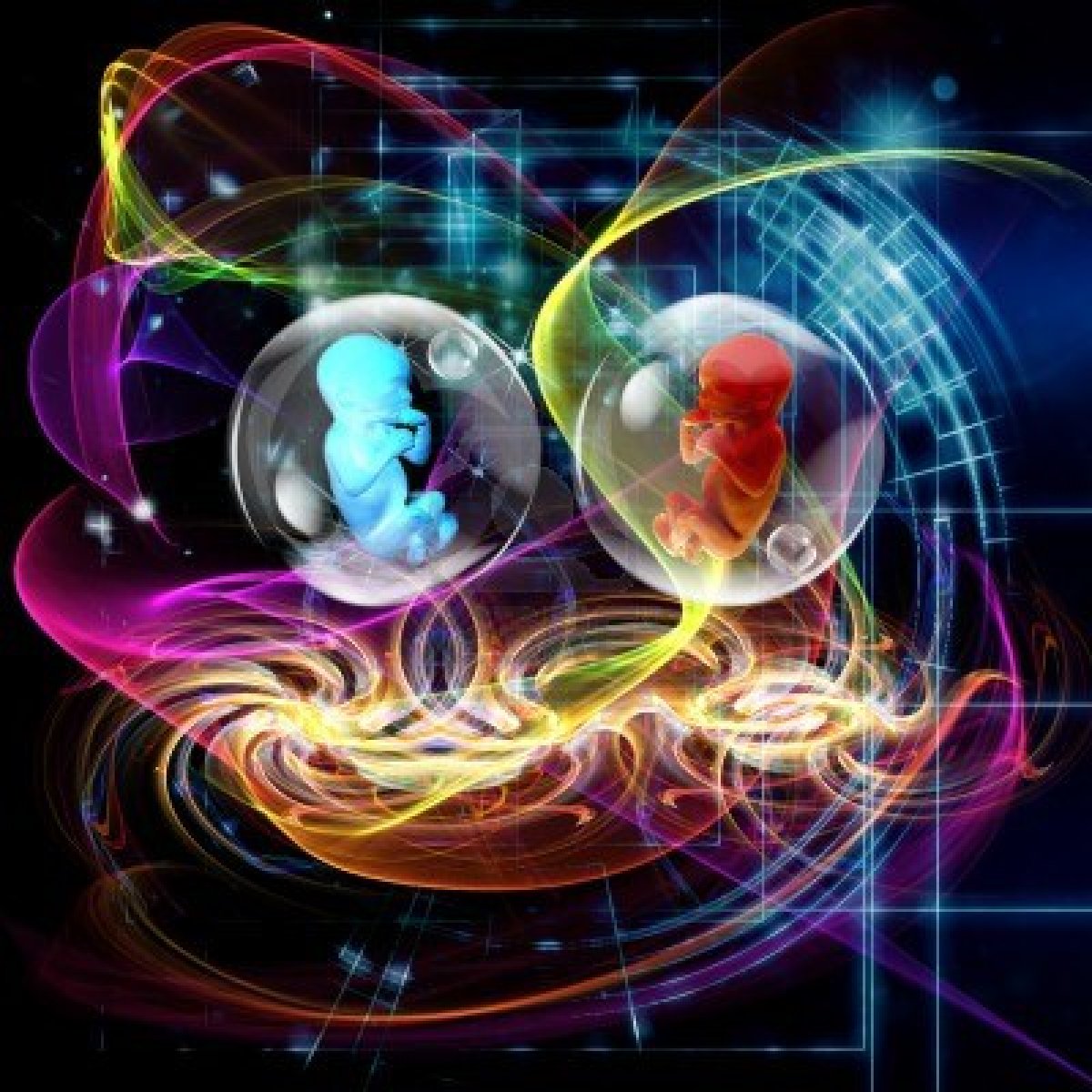 CIENCIA Y AMBIENTE LA CLONACION