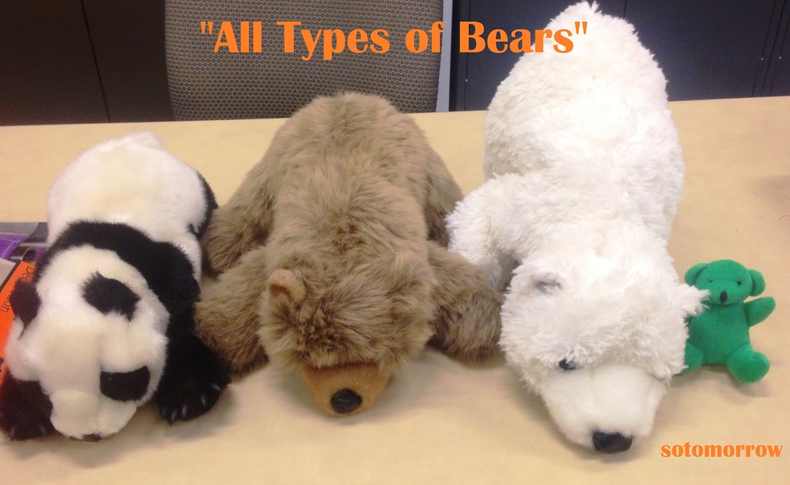 All Types of Bears' Rhyme