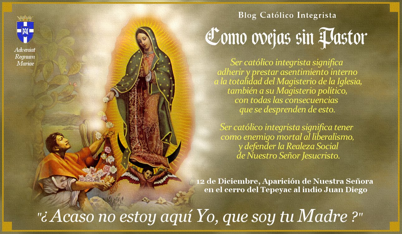 Como ovejas sin Pastor