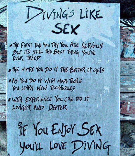 Springboard Diving Quotes And Sayings. QuotesGram