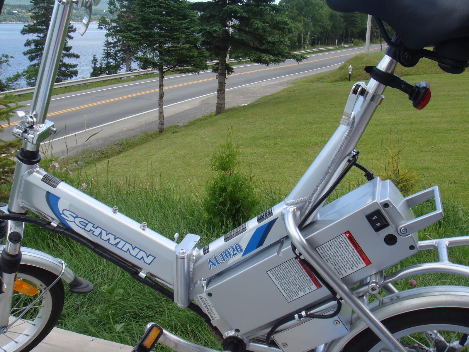 schwinn al1020 for sale