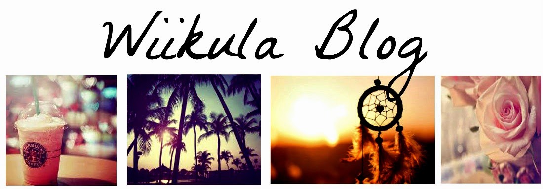 Wiikula Blog