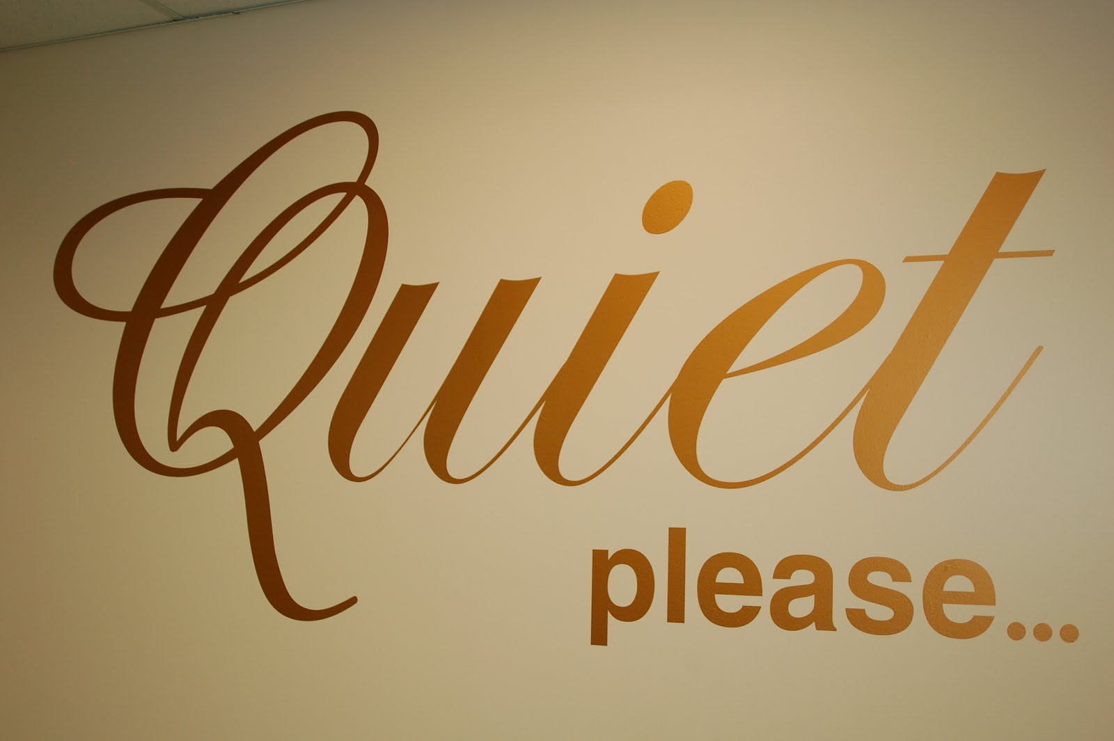 Nothing to Lose Quiet Please