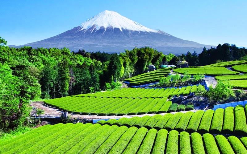 Gunung-Fuji-Jepang