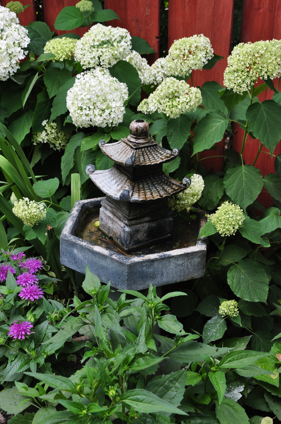 Three Dogs in a Garden: A Garden in the Shade (Part 2)