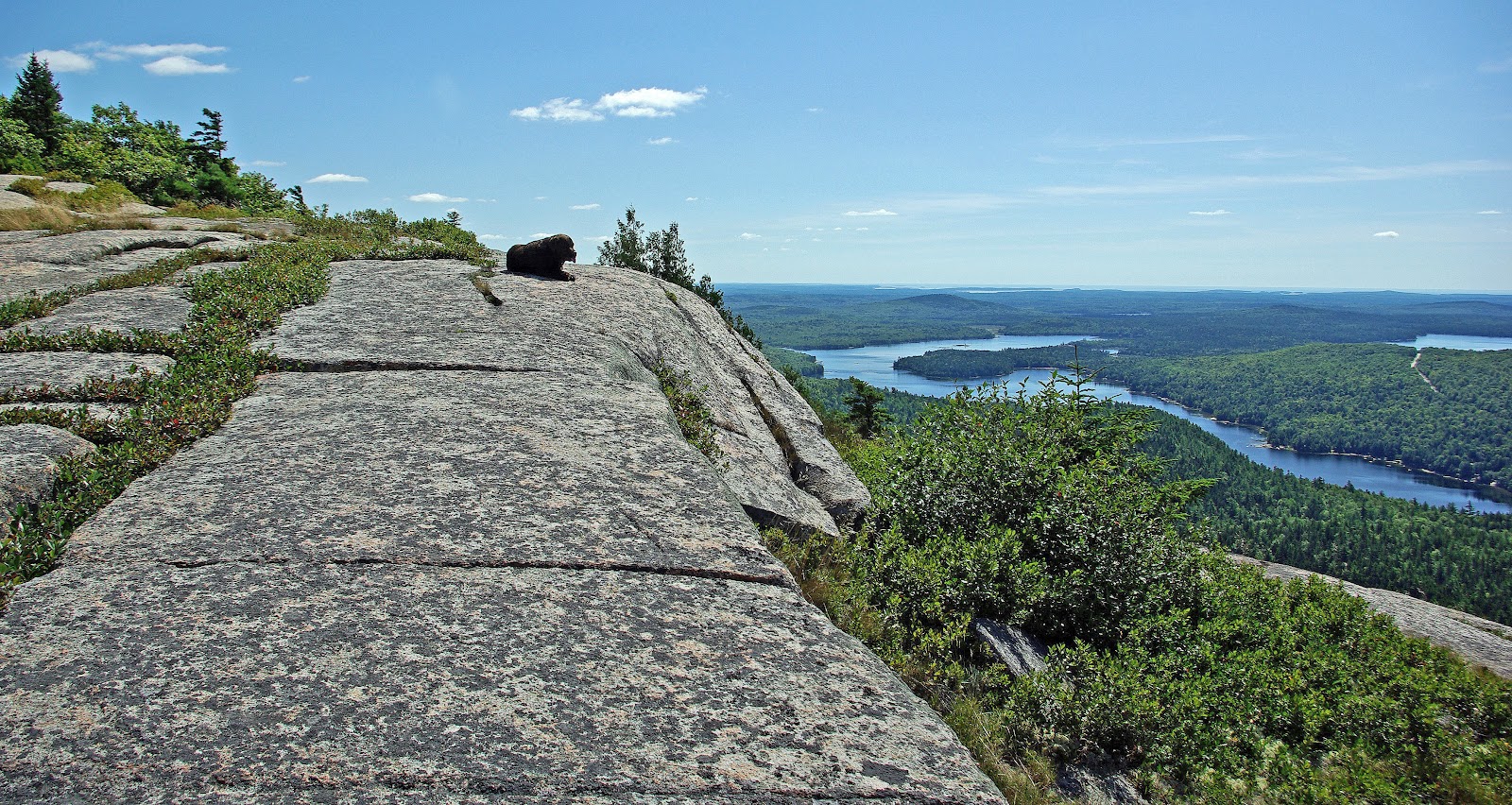 Hiking in Maine with Kelley 8/7/12 Tunk Mountain
