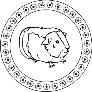 Meerschweinchen Bilder Zum Ausmalen