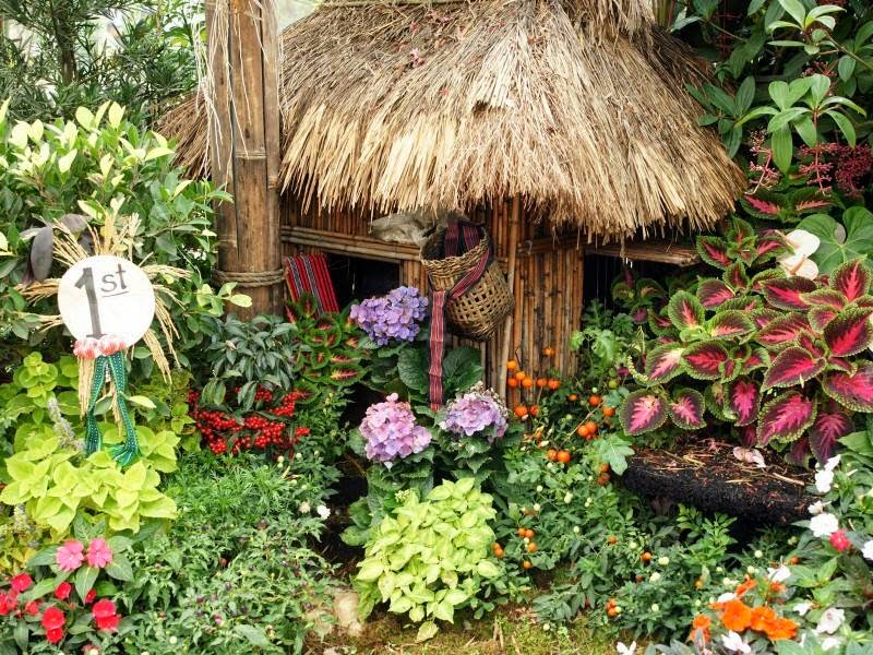 Home Flower Gardens|http://refreshrose.blogspot.com/
