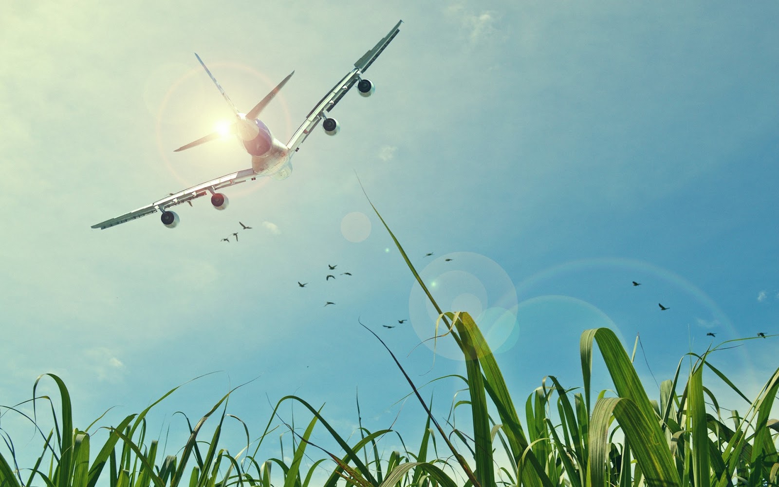 Air Craft Fields Sun Sky 1920x1200 Wallpaper HD