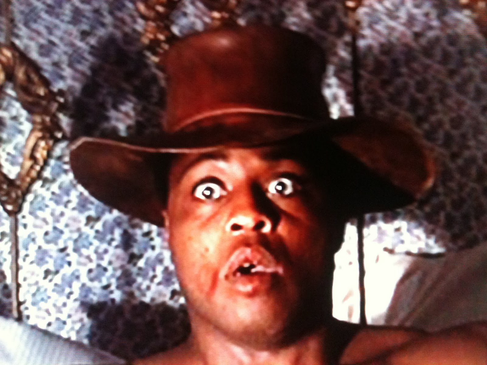 The Horn Section Film Review LEADBELLY (1976)