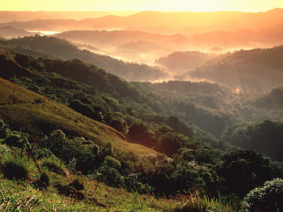 (Puerto Rico) – El Yunque tropical rainforest