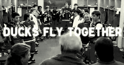 ducks+fly+together.gif