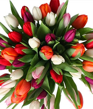 order flowers online uk Hocus pocus
