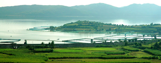 cho thuê xe đi Phú Yên - Đầm Ô Loan