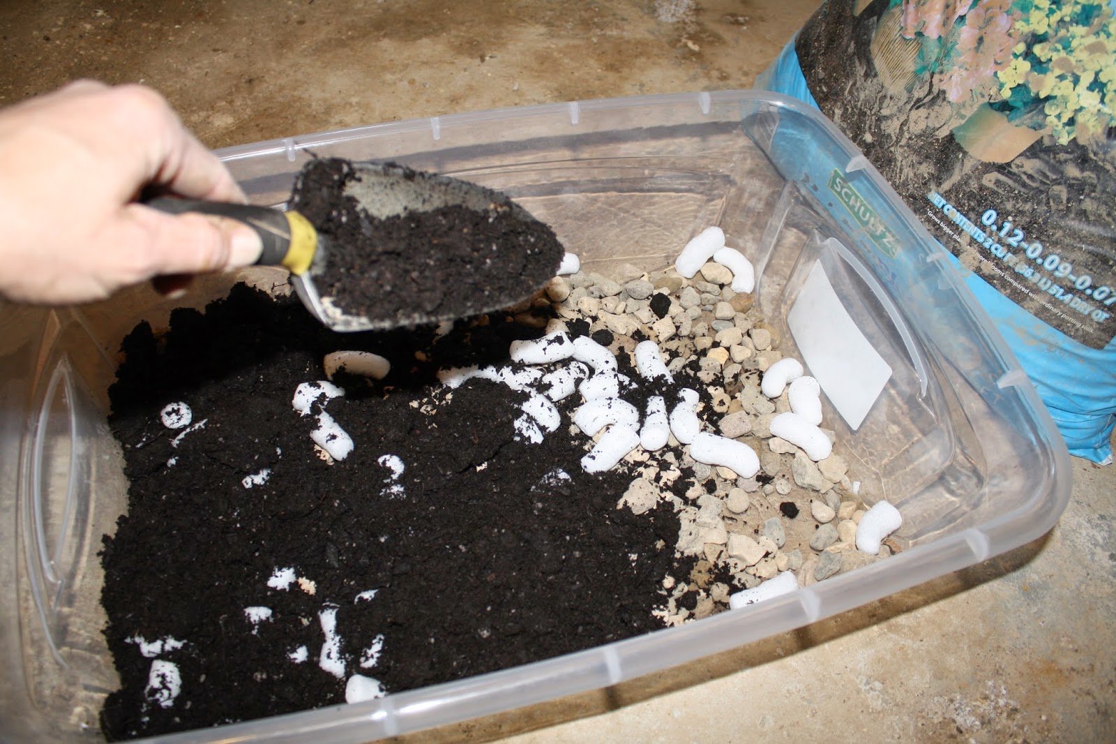 Her Peculiar Life Science Experiment Or Indoor Gardening Or