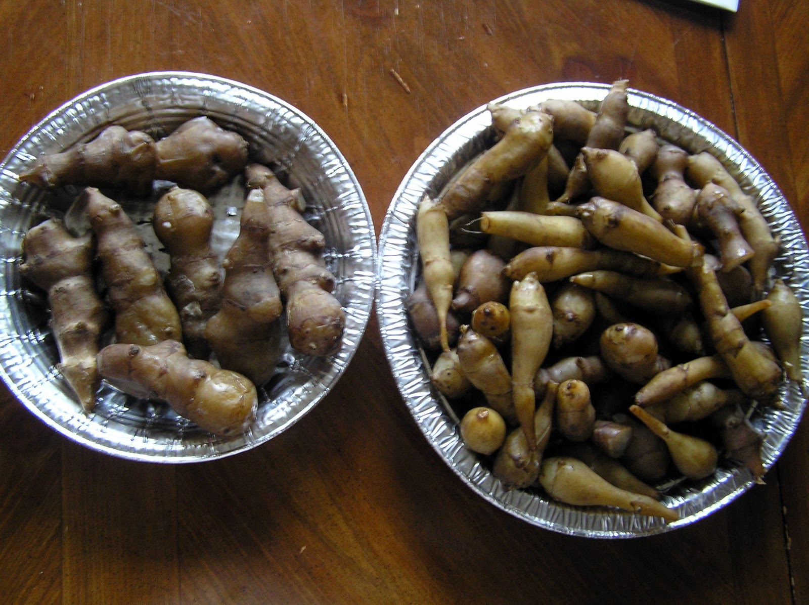 Rare Edible Root Crops Growing sunchoke