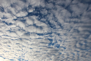 IMAGE: http://4.bp.blogspot.com/-gZgqPpifZxE/UKAHP_pddjI/AAAAAAAADL4/Jd4J_Iy0OMs/s320/IMG_0410.JPG