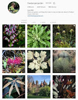 Instagram, instant plant and garden porn! See what I'm up to over there...