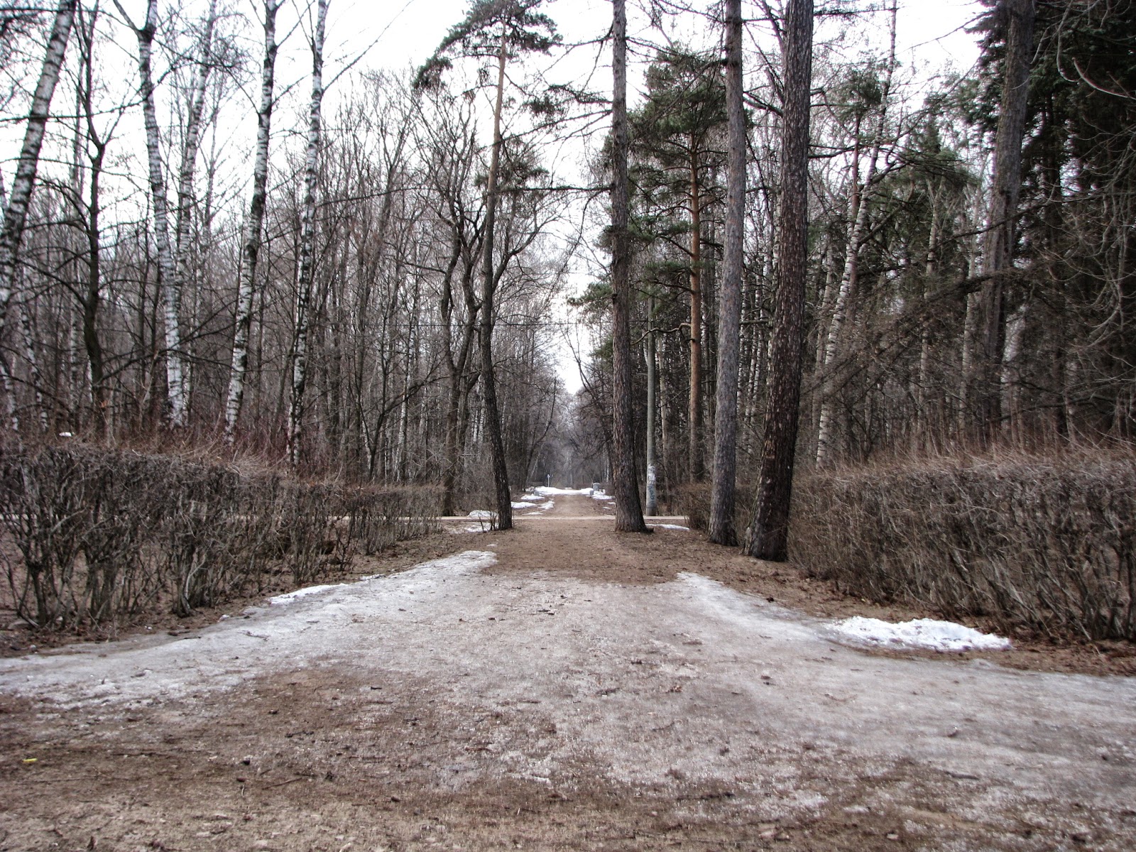 Прогулка в лесопарке Кусково