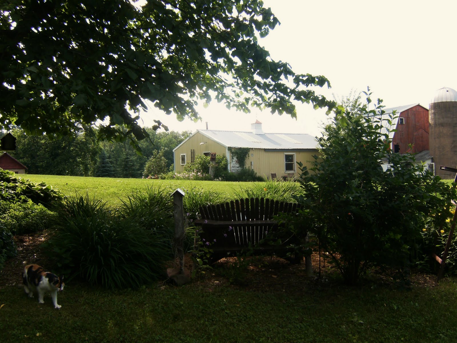 Bittersweet Farm The Bigger Picture