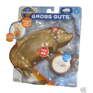 Discovery kids: Gross Guts