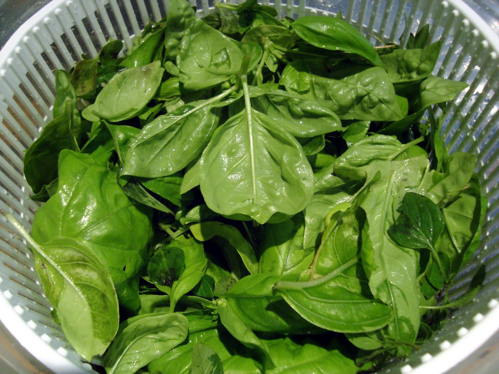 Headspace Roasted Garlic and Herb Pasta Sauce