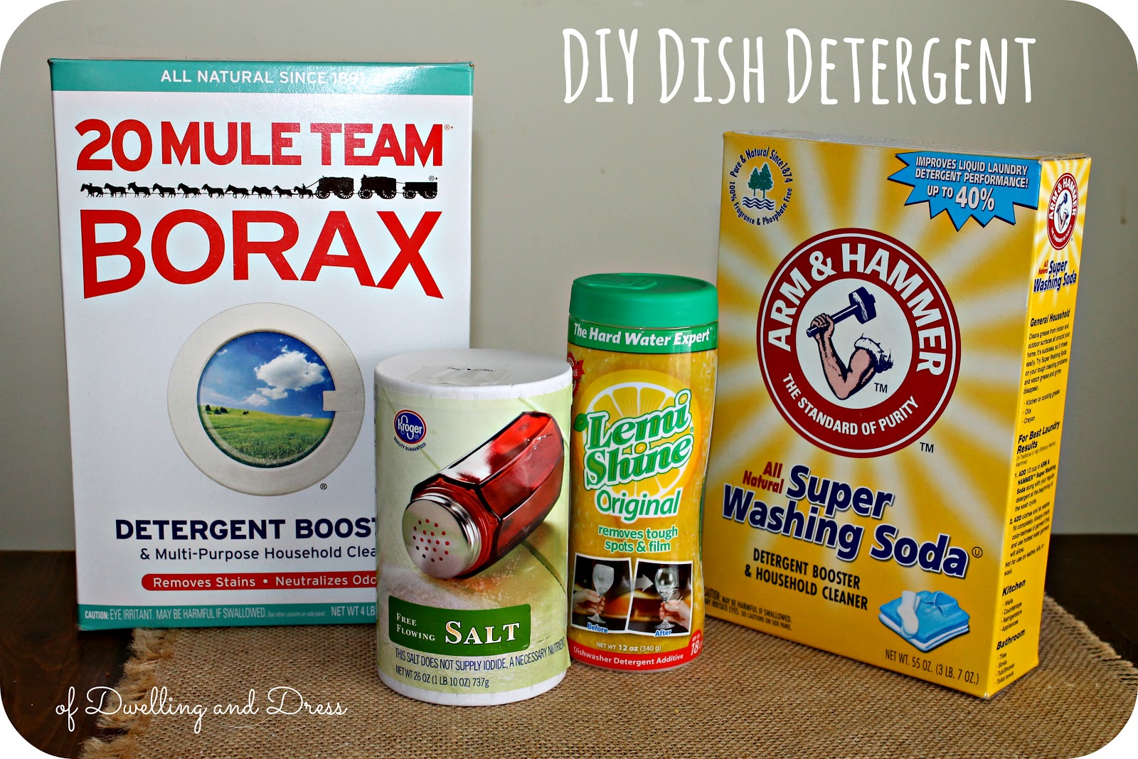 of Dwelling and Dress DIY Dish Detergent
