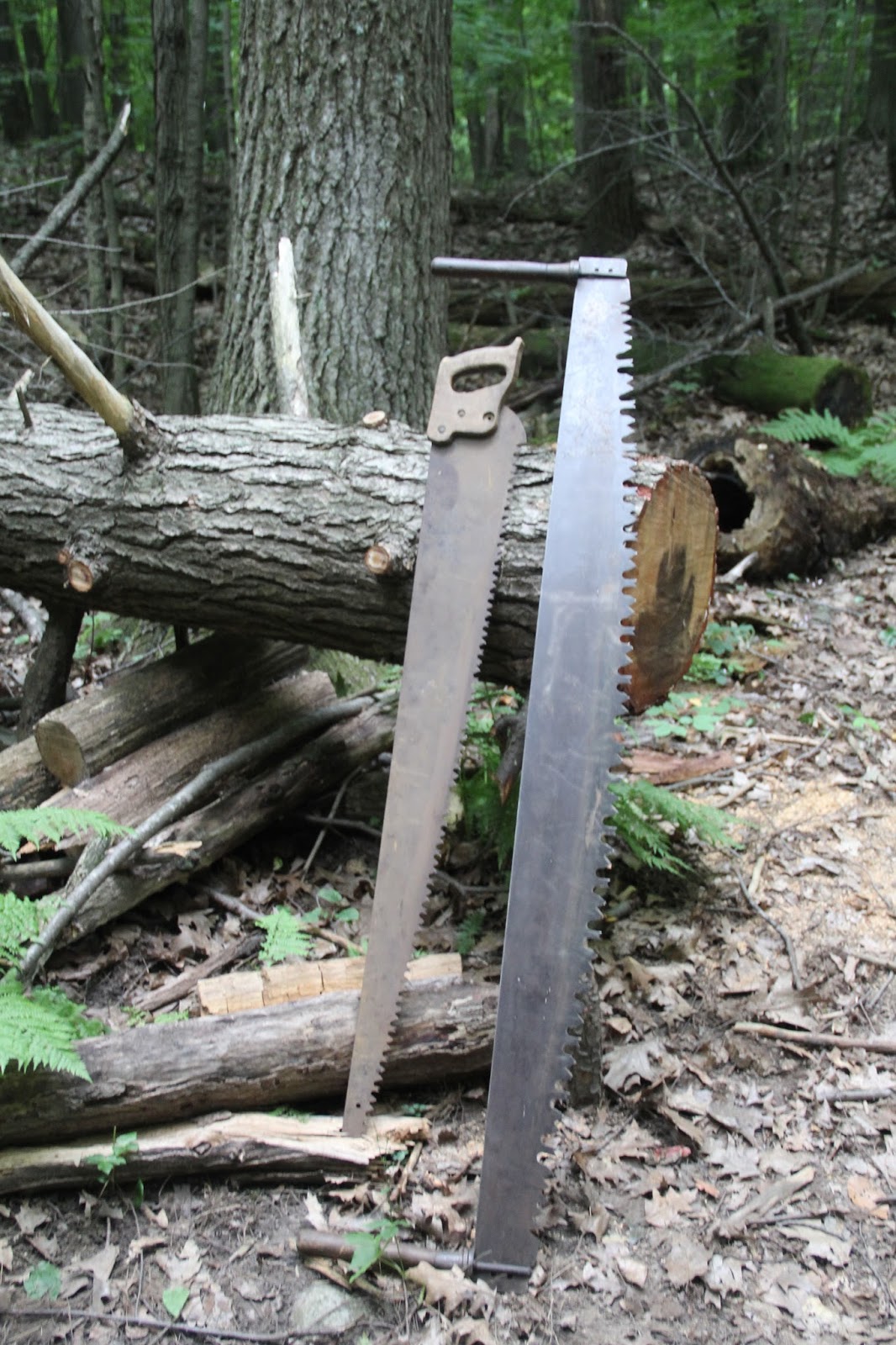 Isabella Conservation District Environmental Education Program Logging