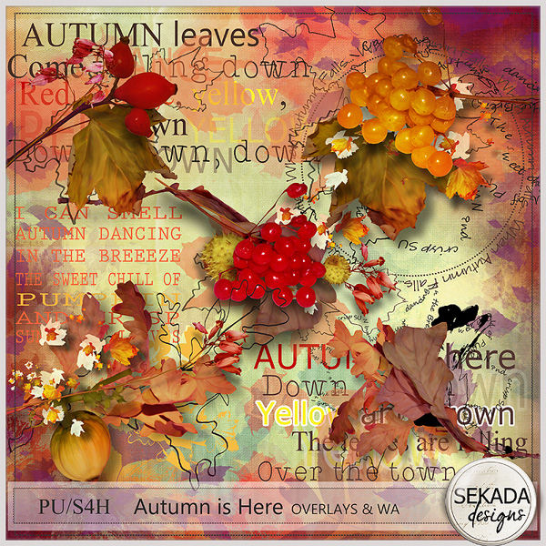 http://www.digitalscrapbookingstudio.com/sekada-designs/