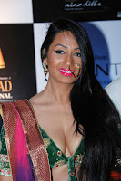 Kashmira shah blenders pride hot photos 2012-2