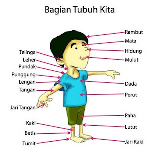 Daftar Harga Organ Tubuh Manusia Kalo DIjual