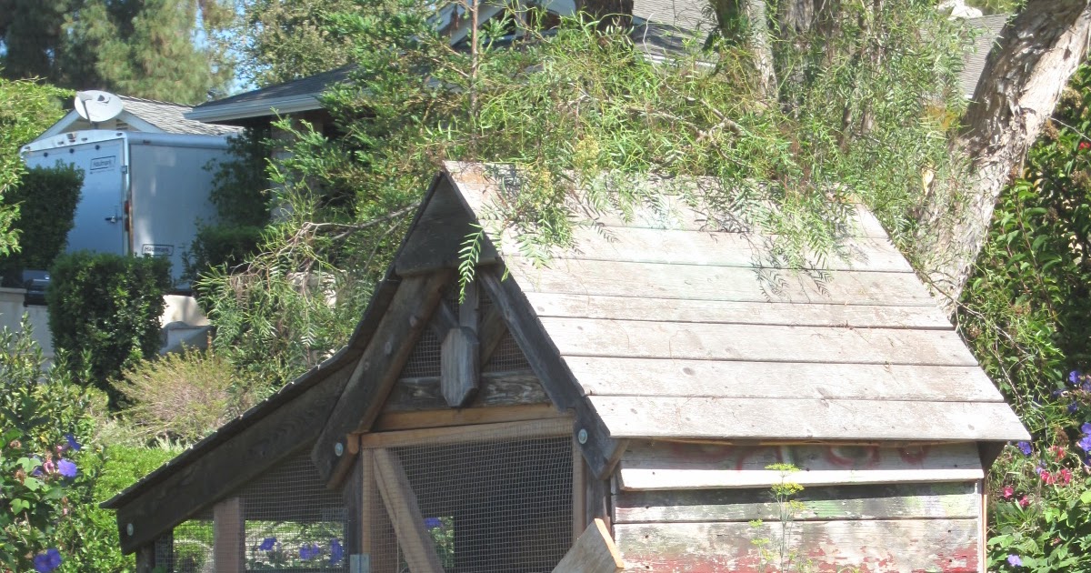 French Knots The "Chic"iest Chicken Coop