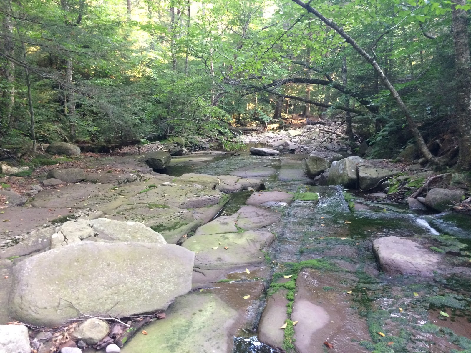 NJ/NY Hikes Catskills East Branch Neversink River