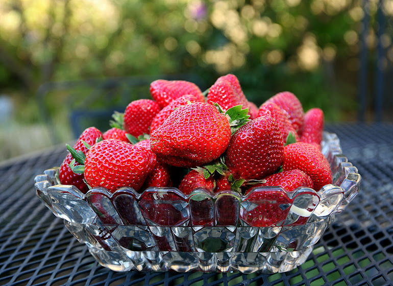 Louisiana Strawberries