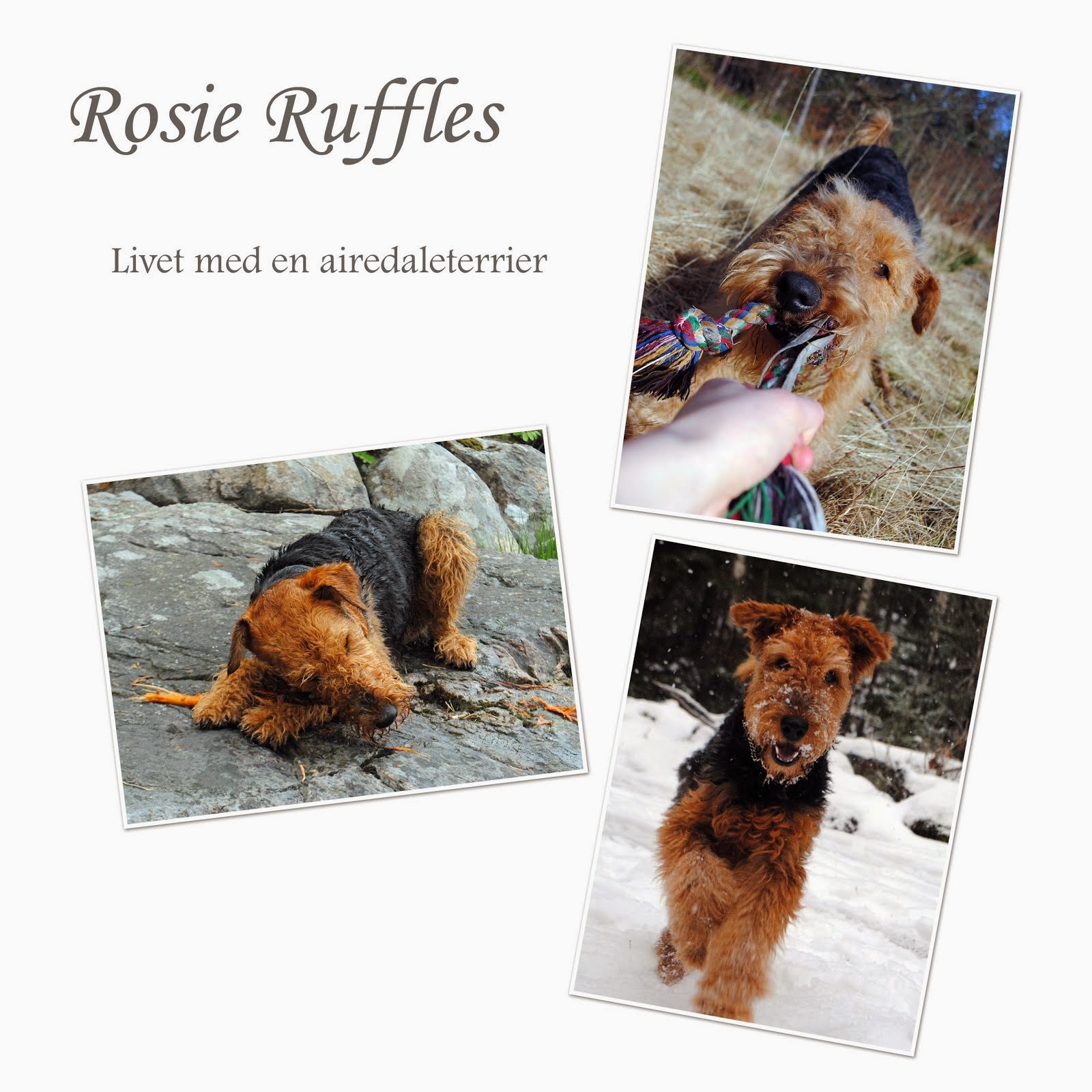 Rosie Ruffles