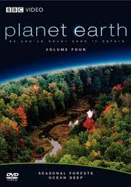 Planeta Pământ – Pădurile