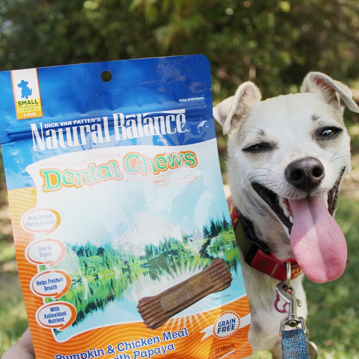 happyhazel: Happy Reviews Natural Balance Dental Chews and Synergy ...