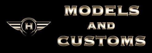 H-models and customs