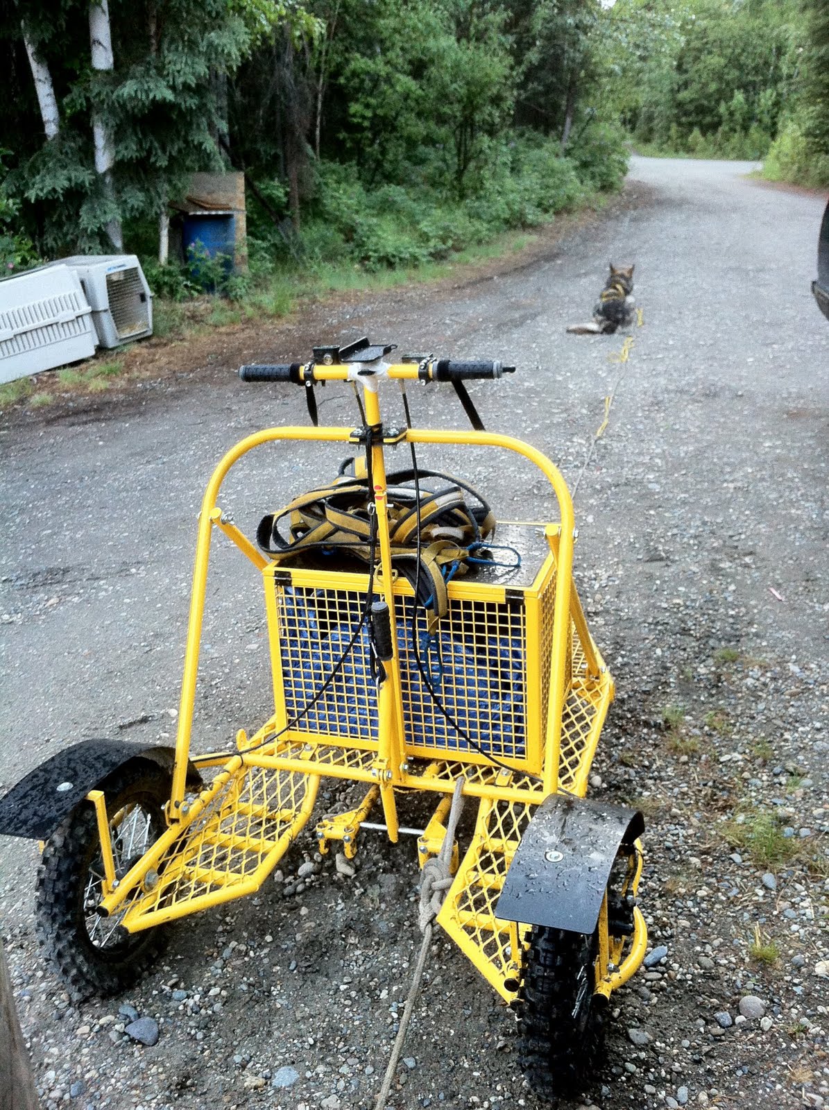 Arctis Carts Arctis Cart in the Arctic...well almost.