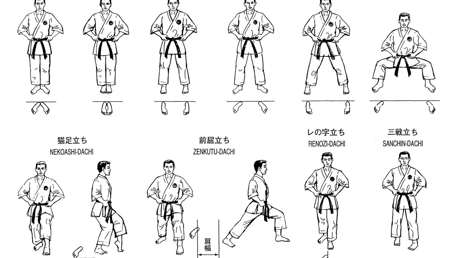 Basic Karate Stances - Karate Choices