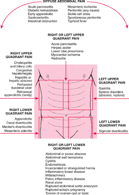 medical: Abdominal pain Quadrant wise