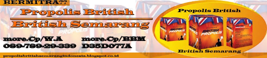 Propolis British Semarang Indonesia, HANIF, Propolis Melia Semarang, Propolis Moment Semarang