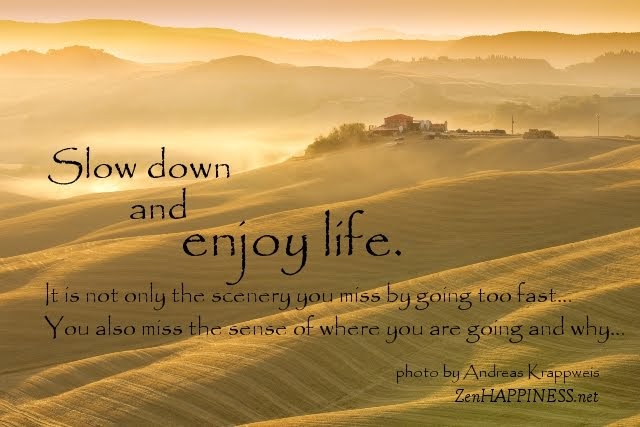 Best Quotes For Everyday: Slow Down Enjoy Life Quotes Only Scenery Miss