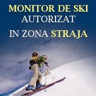 Monitor de ski