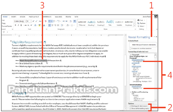 how to open style pane in word 2013