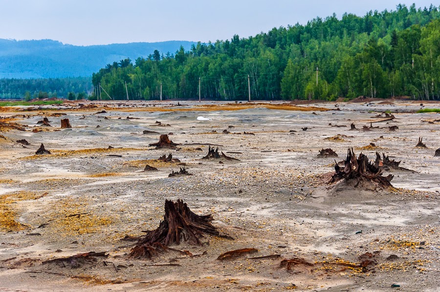 Туда, где намазано медом
